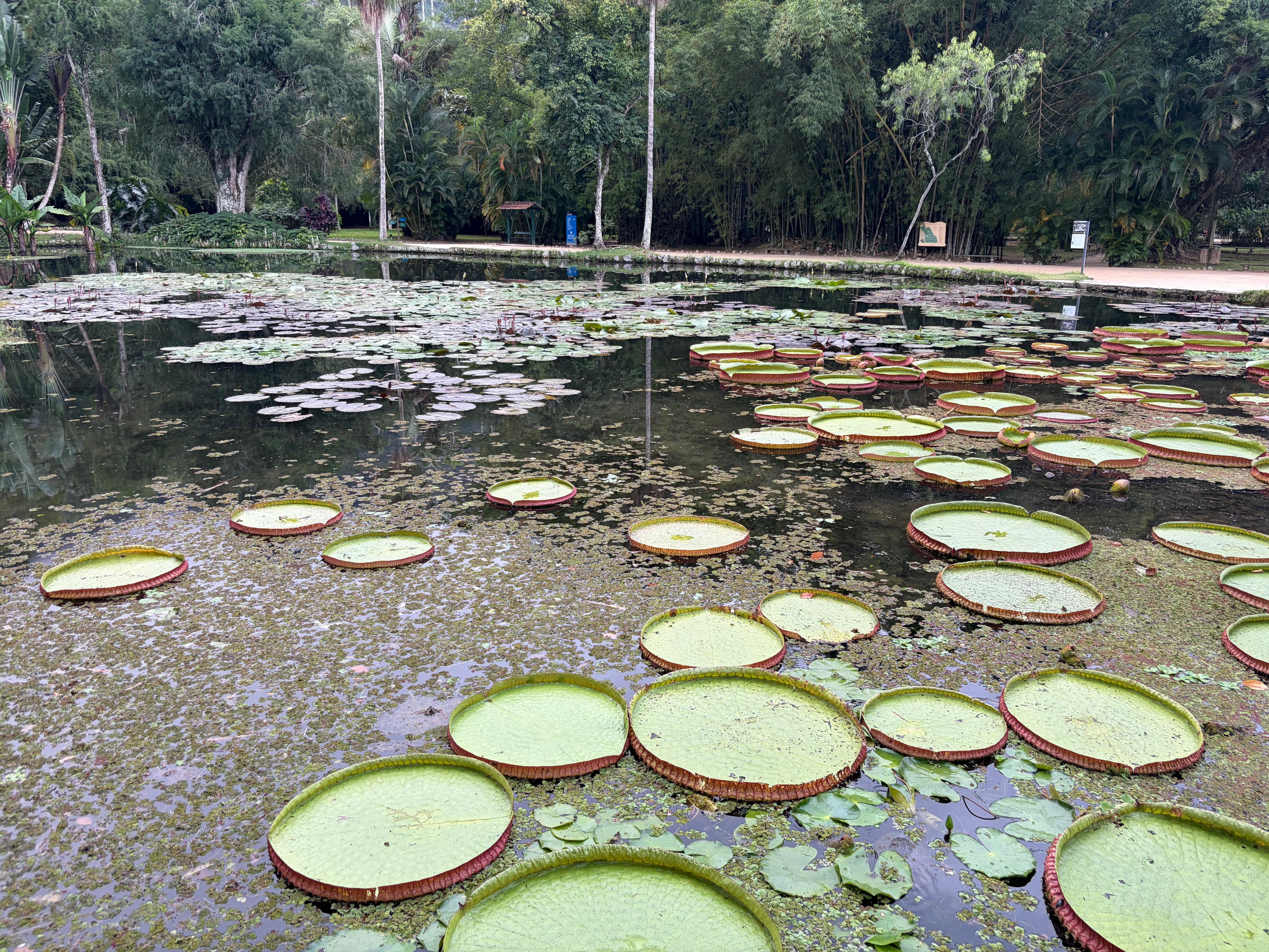 Botanical Garden visit.