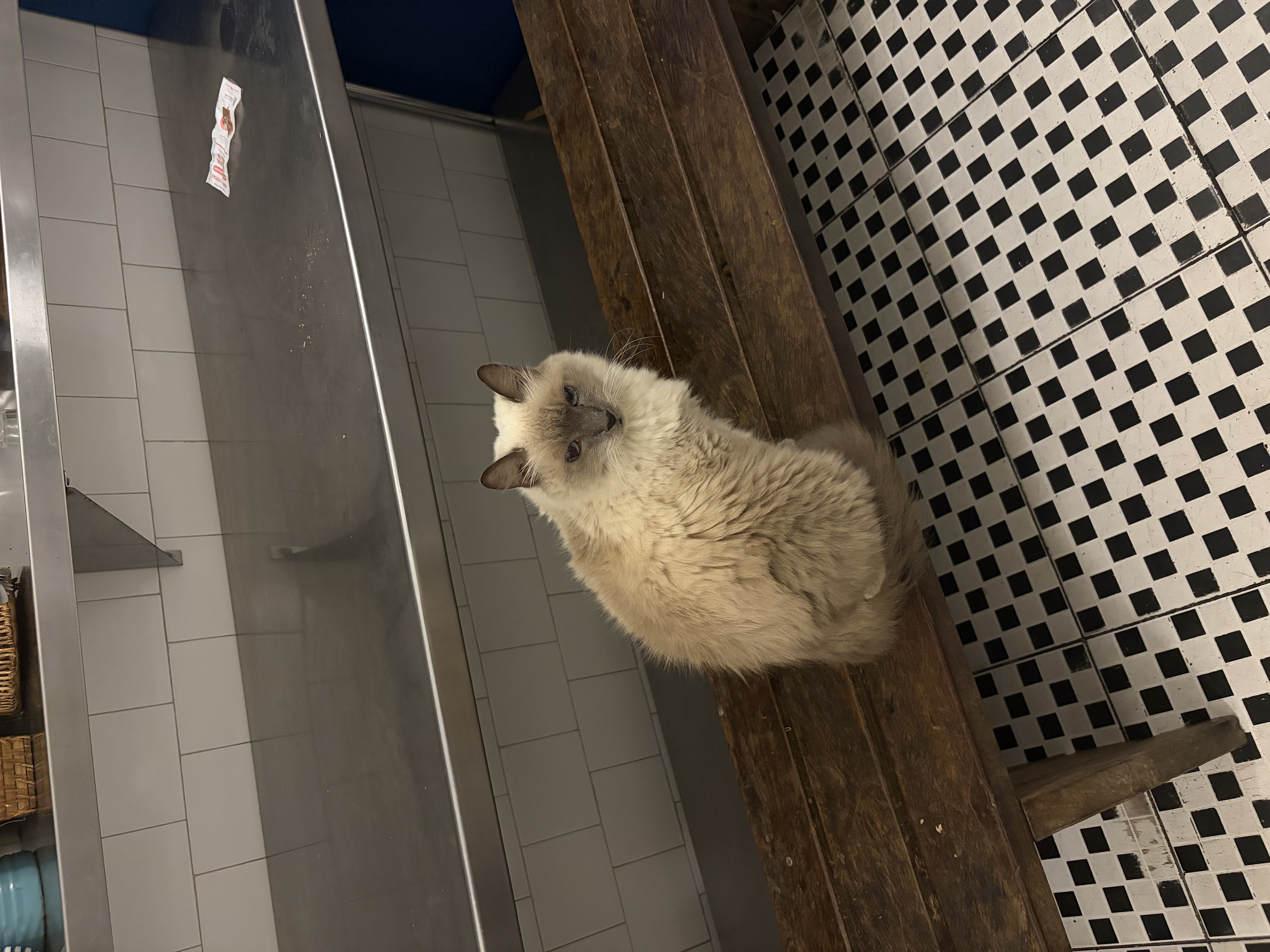 23 Apr 2026